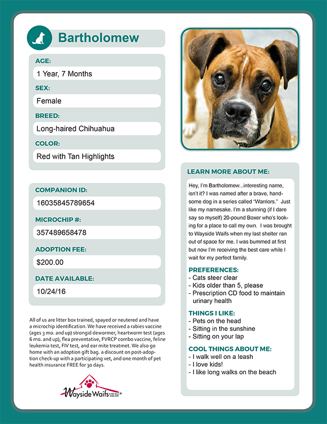 Kennel Card Forms Design - Dogs