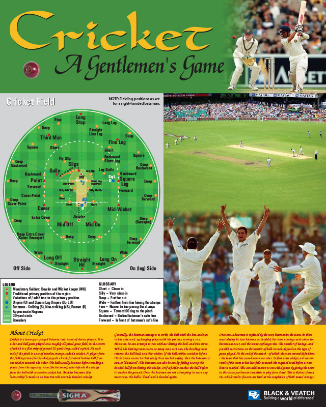 Culture of India - Cricket Poster