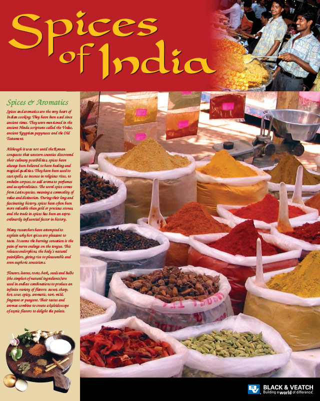 Culture of India - Spices Poster