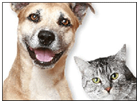 Pet Healthcare Program & Shelter Management Solution Pull-up Displays