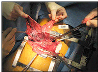 Cardiothoracic Surgeons' 
Case Studies Referral Booklet